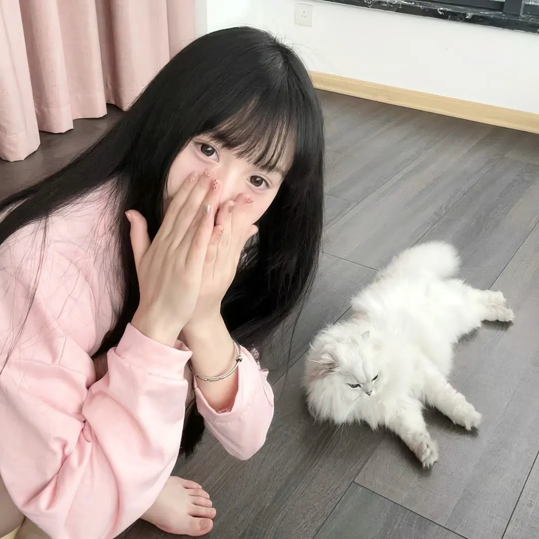 特洛伊艾迪